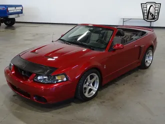 Mustang 2