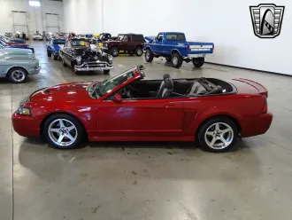 Mustang 4