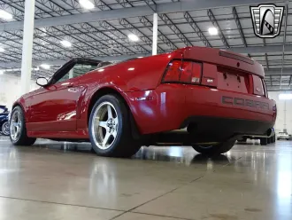 Mustang 5