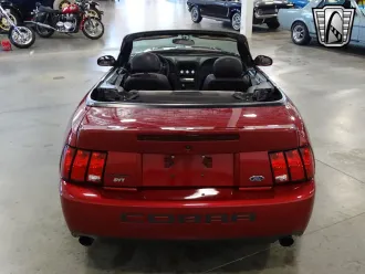 Mustang 6