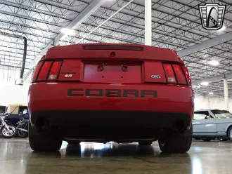 Mustang 7