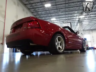 Mustang 8