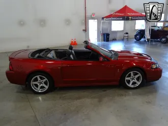 Mustang 9