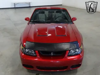 Mustang 10