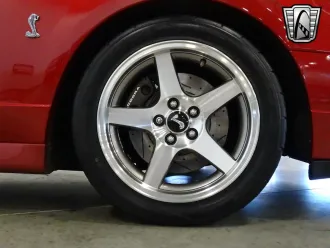 Mustang 14