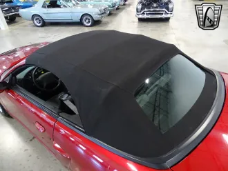 Mustang 24