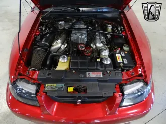 Mustang 25