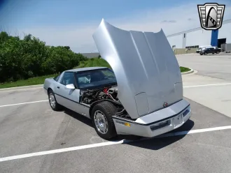 Corvette 24