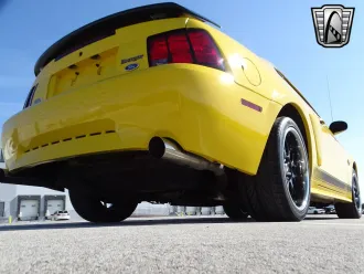 Mustang 6
