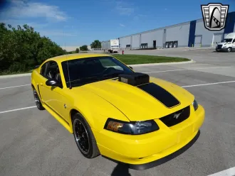 Mustang 8