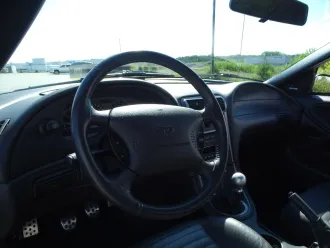 Mustang 19
