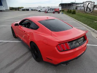 Mustang 4