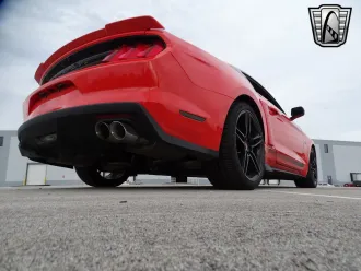 Mustang 5