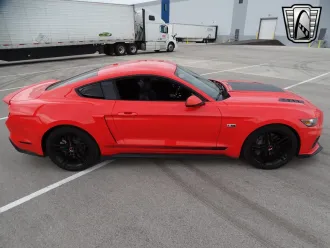 Mustang 6