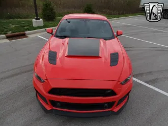 Mustang 8