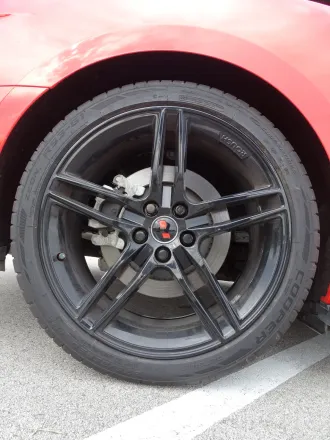 Mustang 12