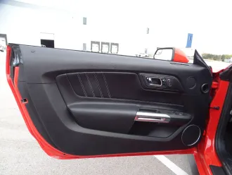Mustang 14