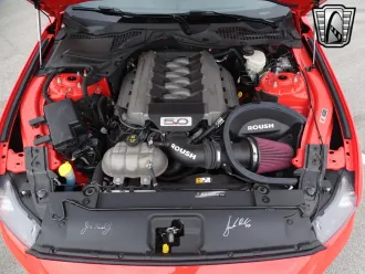 Mustang 23
