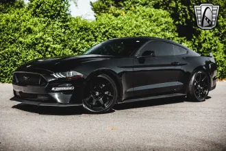 Mustang 2