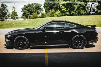 Mustang 4