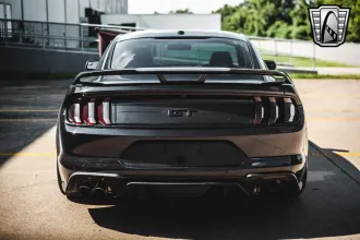 Mustang 6