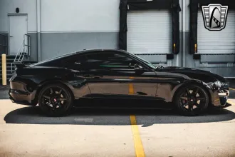 Mustang 8
