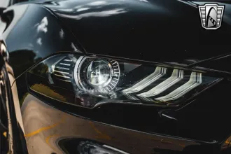 Mustang 12