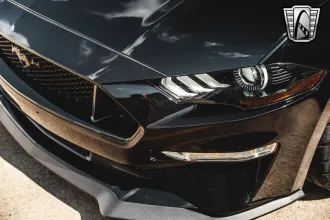 Mustang 13