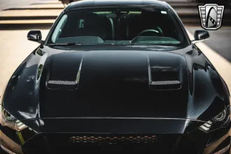 Mustang 14