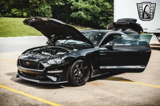 Mustang 15