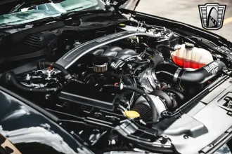 Mustang 18