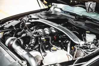 Mustang 19
