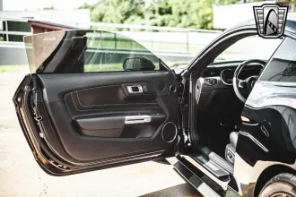 Mustang 21
