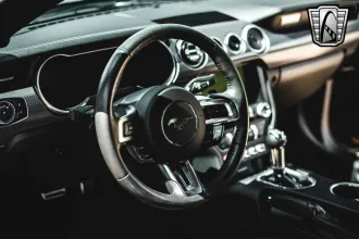 Mustang 23