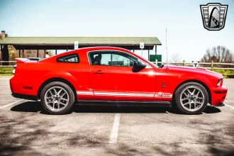 Mustang 8