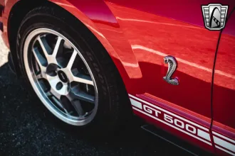 Mustang 14