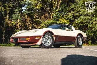 1981 Chevrolet Corvette photo 5