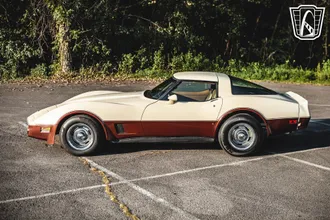 1981 Chevrolet Corvette photo 6