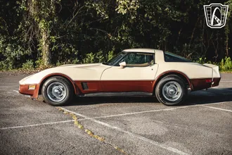 1981 Chevrolet Corvette photo 7