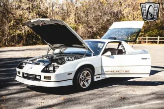 Camaro 19