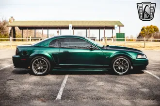 Mustang 7