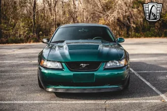 Mustang 9