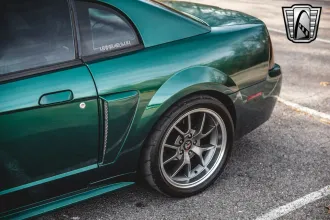 Mustang 13
