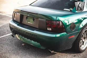 Mustang 14