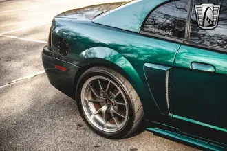 Mustang 15