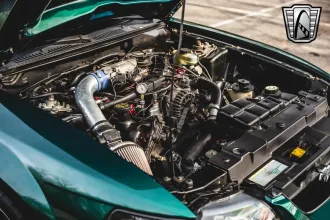 Mustang 19