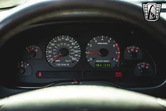 Mustang 23