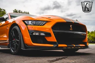 Mustang 11
