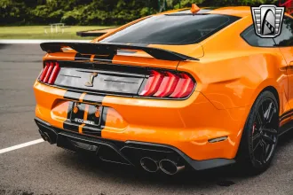 Mustang 14