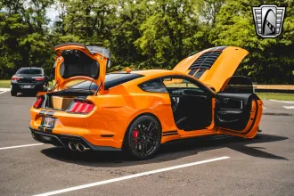 Mustang 16